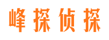 龙凤侦探公司